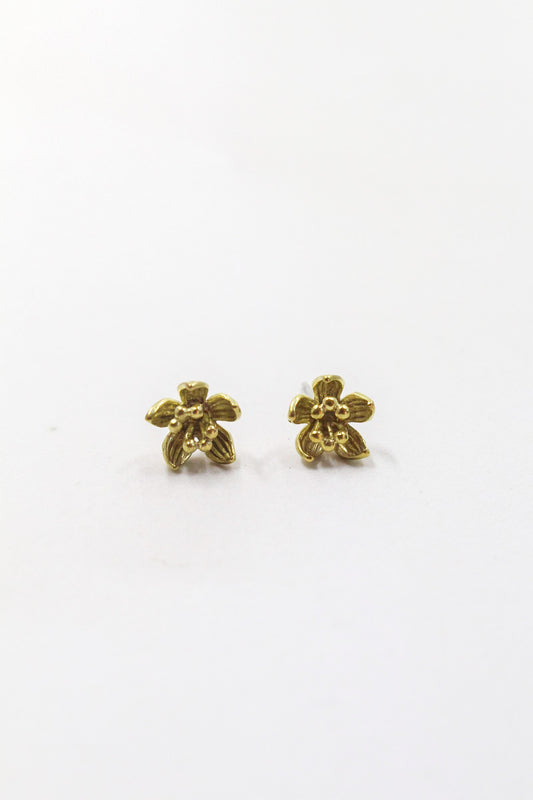 Brass Water Lily Stud Earrings